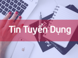 Dịch vụ Tuyển dụng