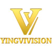 Công Ty TNHH Công Nghệ Vivision Việt Nam